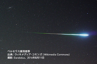 この夏楽しめる流れ星（2021年） | 郷土と天文の博物館ブログ | 葛飾区